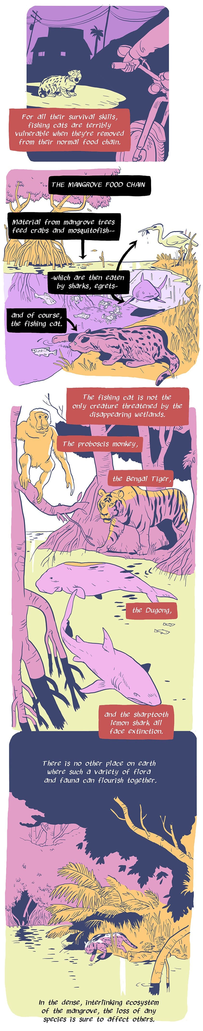 catfinal2_orig